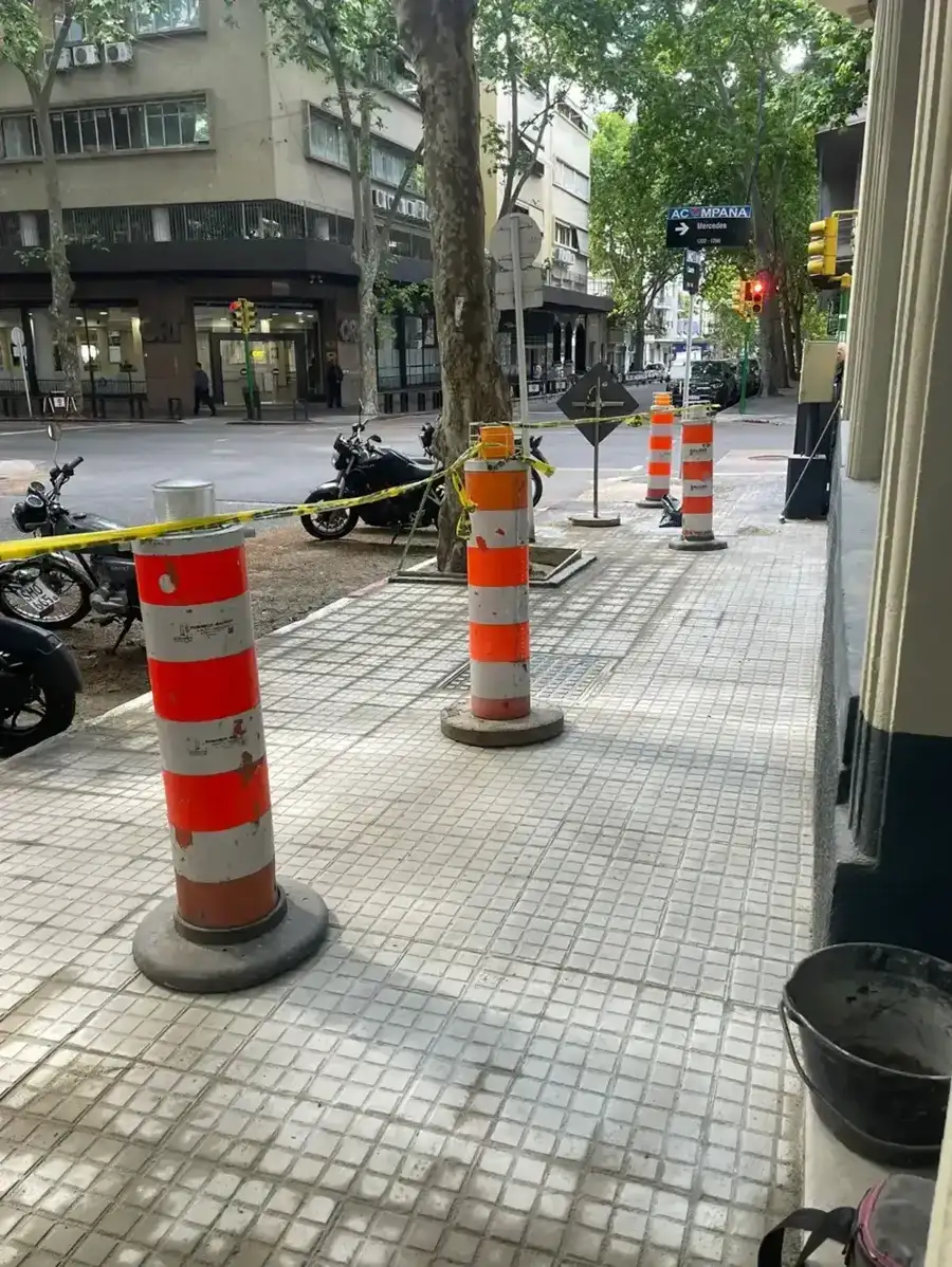 Reforma de vereda en tramo arbolado - ConstruFach
