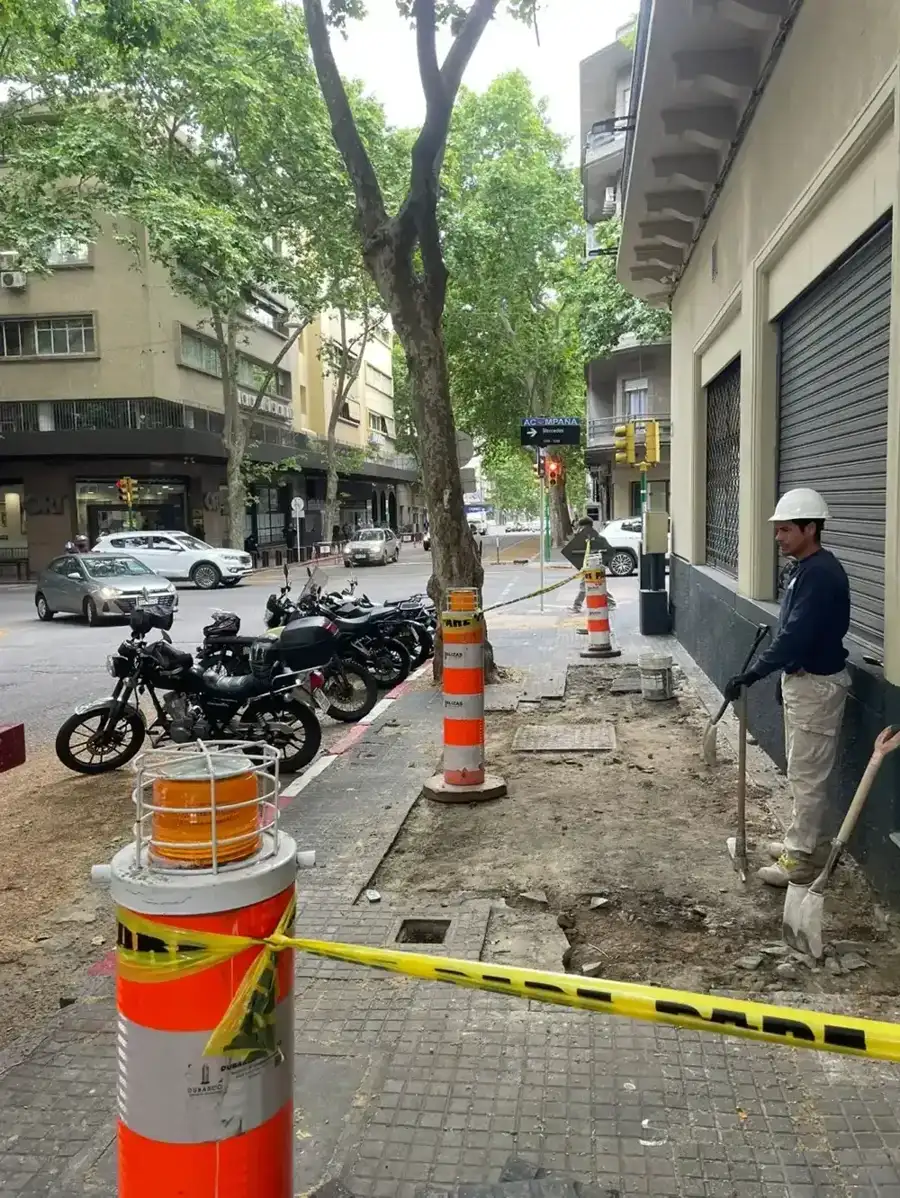 Imagen del trabajo Reforma de vereda en tramo arbolado