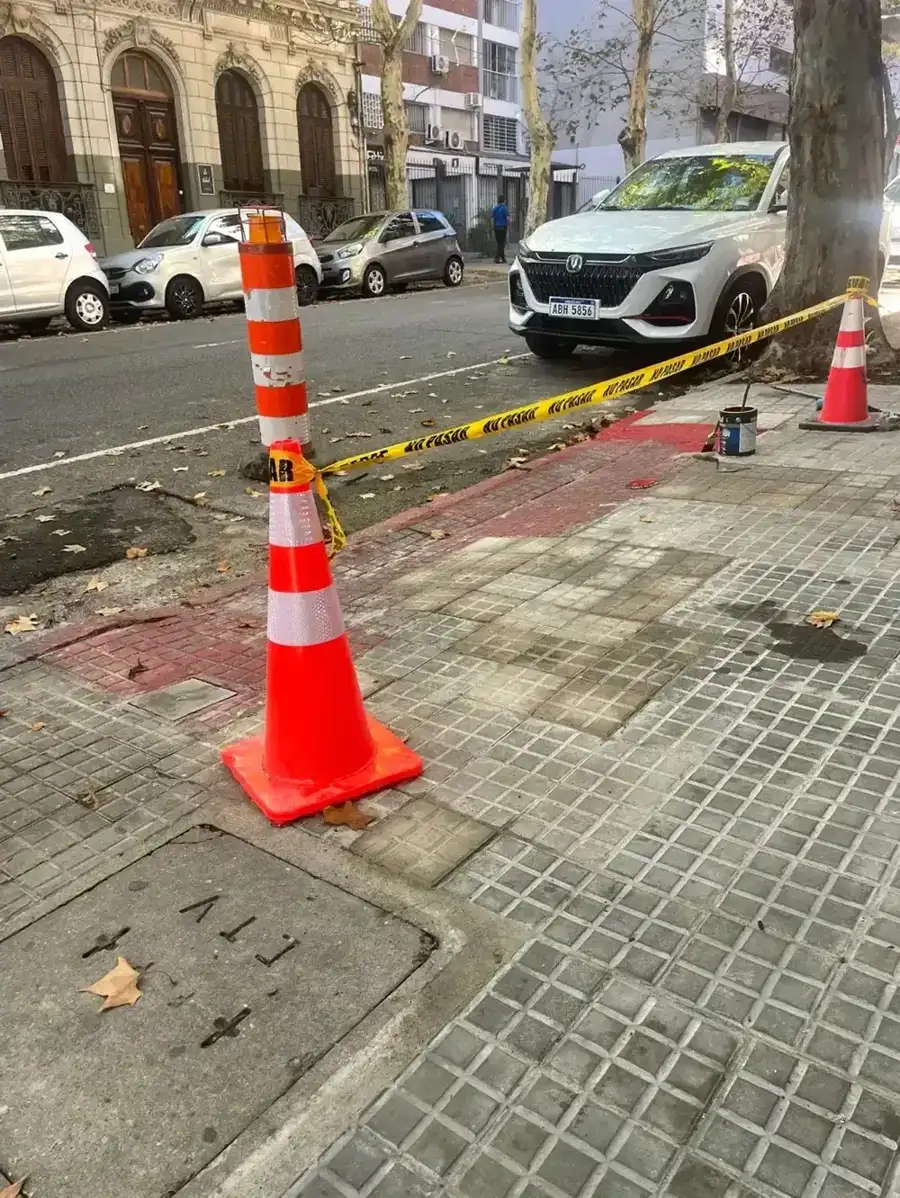 Imagen del trabajo Reforma de vereda en tramo arbolado